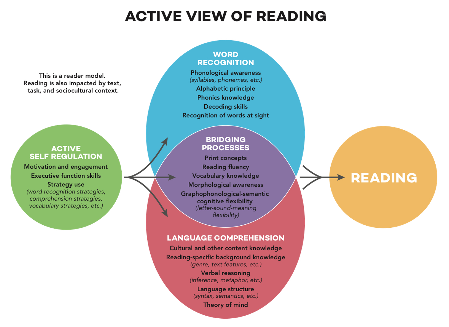 Word identification and decoding