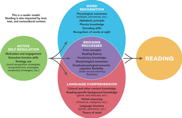 Active View of Reading diagram