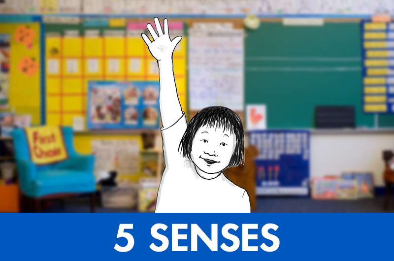 five senses activities