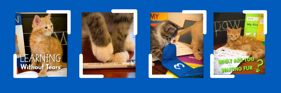 Handwriting Curriculum for Cats Handwriting Program for Cats