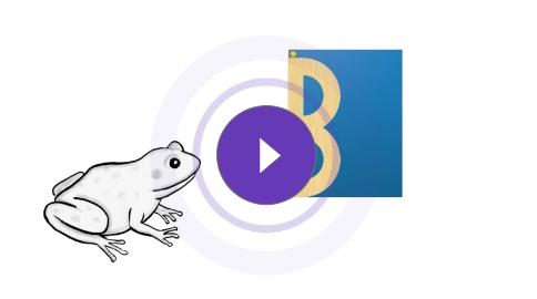 Thumbnail image showing a digital animation of capital letter B being formed using the Frog Jump method, with visual cues and a friendly frog character guiding the strokes.