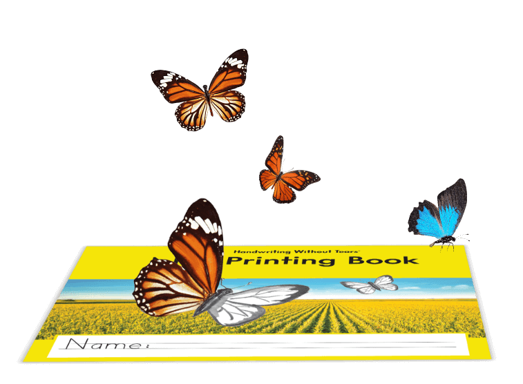 champion story image